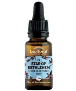 Etoile de Bethléem - Star of Bethleem (n°29) BIO, 20 ml